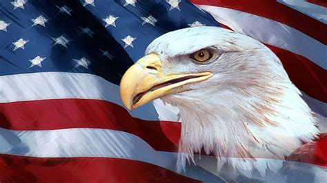 images of american flag and eagle|us flag and eagle background.